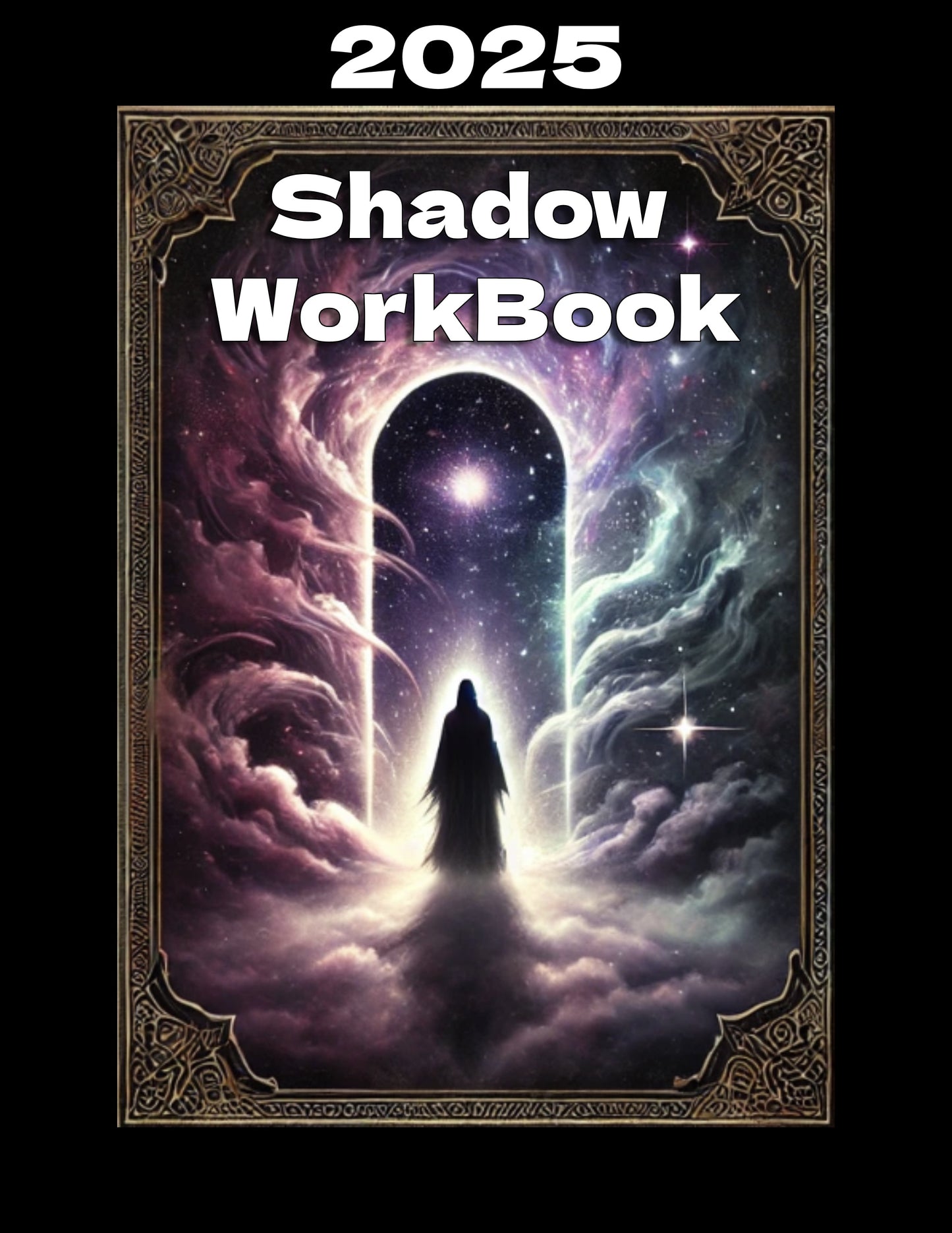 The 2025 Shadow WorkBook