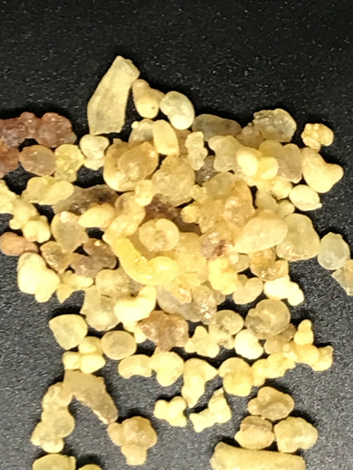 Frankincense Resin - The Columbian Exchange Group