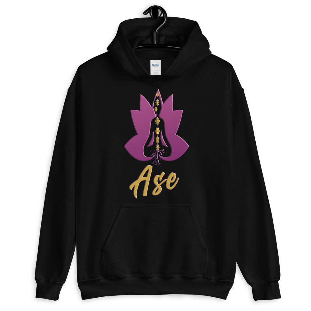 ase hoodie - The Columbian Exchange Group